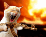 le chat flingueur
